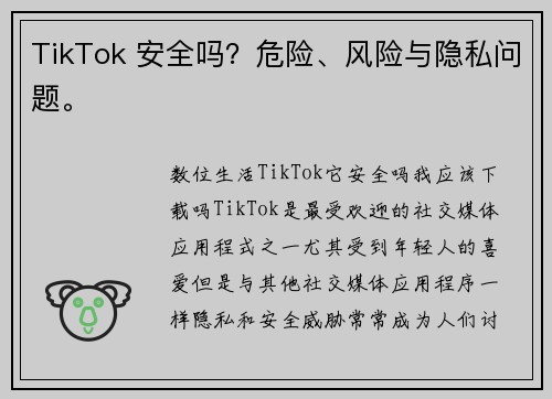 TikTok 安全吗？危险、风险与隐私问题。