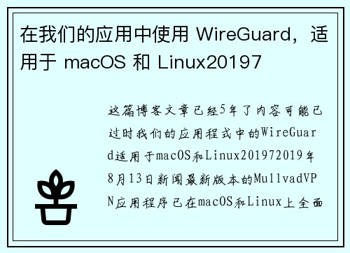 在我们的应用中使用 WireGuard，适用于 macOS 和 Linux20197